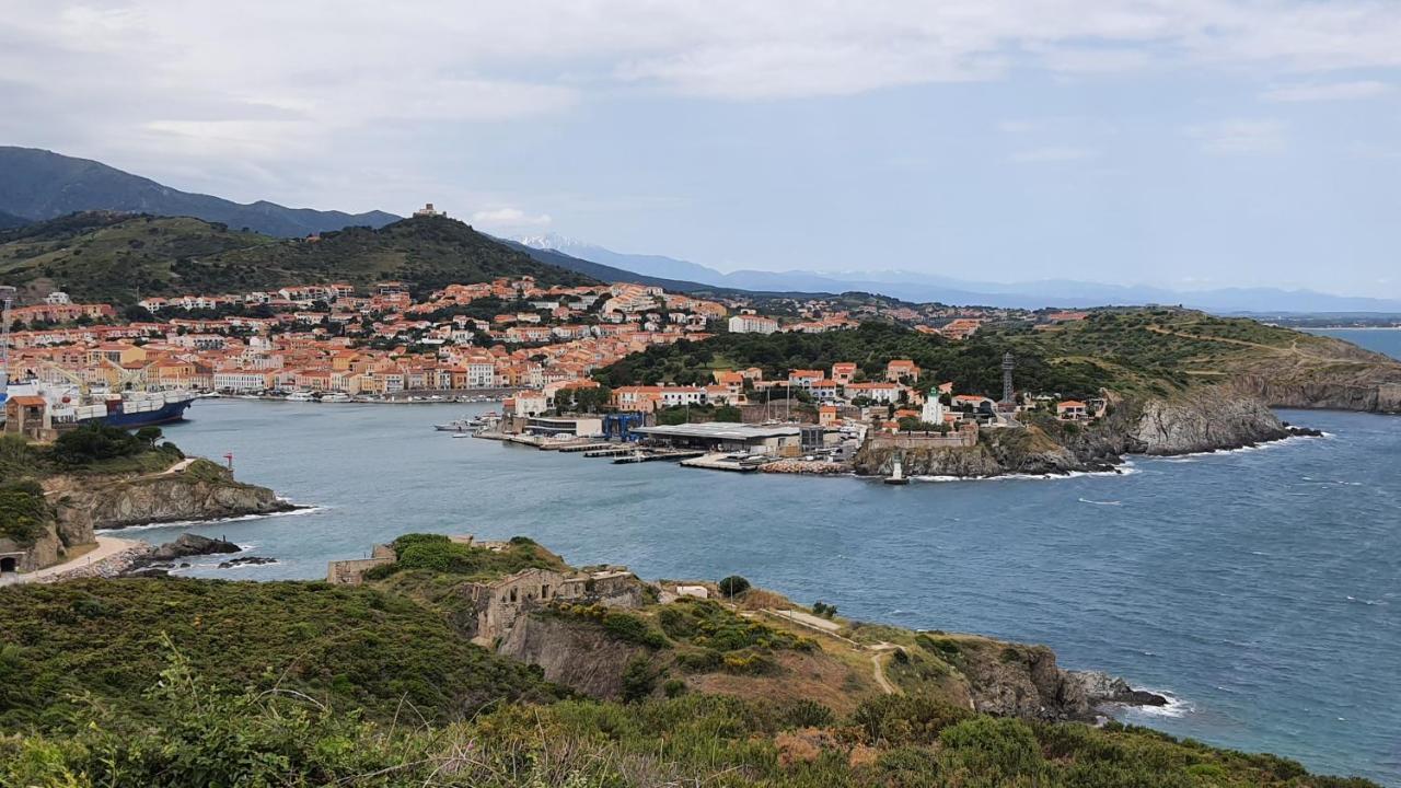 Port Vendres: appartement à deux pas du port Esterno foto